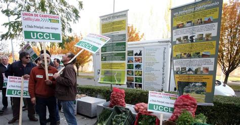 Valladolid Un Centenar De Agricultores Piden Ayudas Al Sector