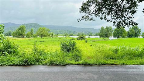 Riverside Plot For Sale In Kokan YouTube