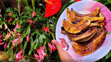 Faz Sua Flor De Maio Explodir De Tanto Florescer Nunca Mais Vai