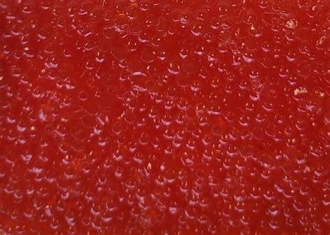 Ikura King Salmon Roe For Sale Lummi Island Wild