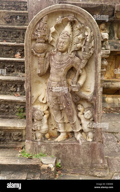 Muragala Hi Res Stock Photography And Images Alamy