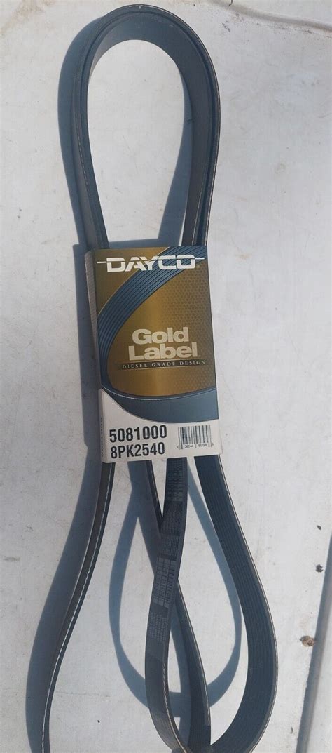 Serpentine Belt Dayco 5081000 Gold Ebay