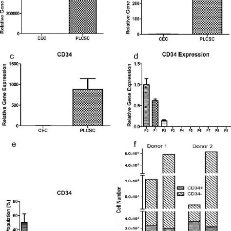 Characterization Marker Expression In Peripheral And Limbal Corneal