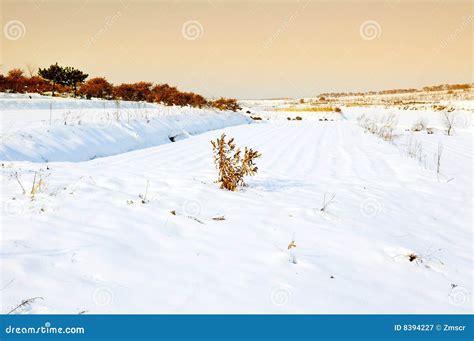 Snow Covered Farm Stock Image Image Of Shandong Snow 8394227