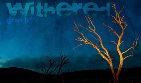 Only By Fasting The Withered Fig Tree