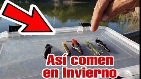 Aprende A Pescar Lobinas En Invierno Con Esta Facil E Incre Ble Tecnica