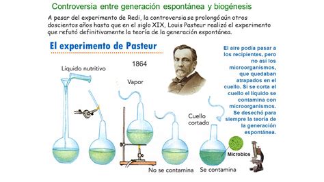 To Biolog A Experimento De Pasteur