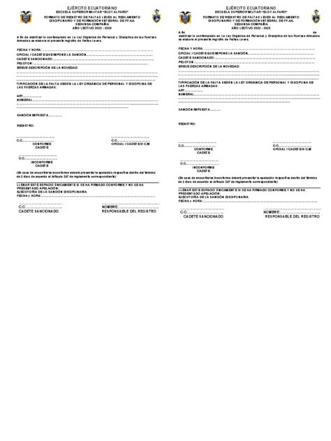 Formato Para Sanciones Leves Ley OrgÁnica De Personal Y Disciplina De