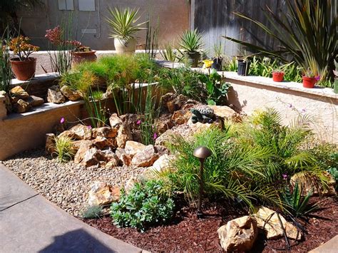 Drought Resistant Landscape Design Randolph Indoor And Outdoor Design