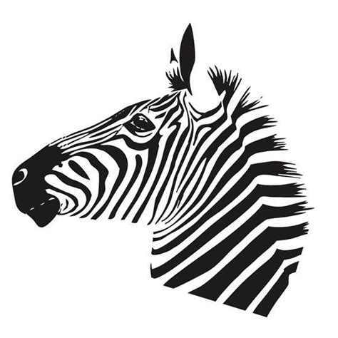 Zebra Head Sticker For Sale By KimberlyMarie Zebra Stickers Headed