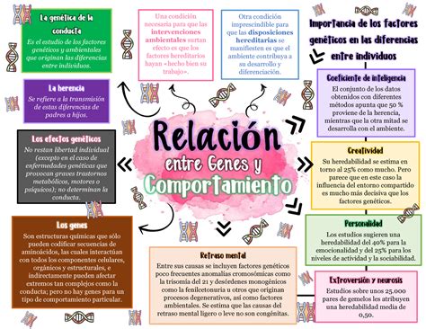 484867005 Mapa mental de los genes y el comportamiento pdf Relación