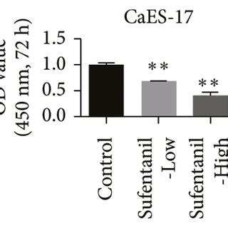 Sufentanil Inhibits The Proliferation Invasion And Migration Of Human