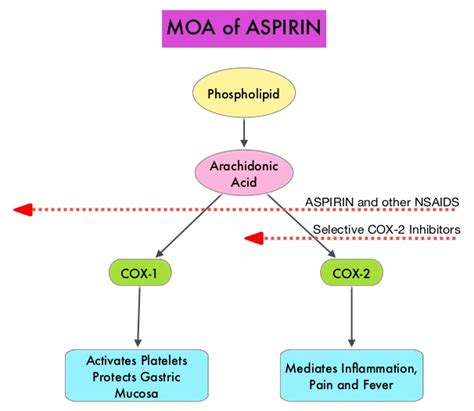 Aspirin Lowers Risk for Ovarian and Hepatocellular Carcinoma – OncoPrescribe