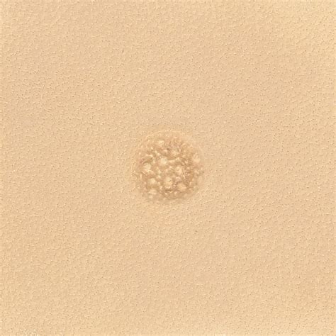 Matoir Sur Manche Tandy Leather Matting Texture Bulles 8 Mm 6882