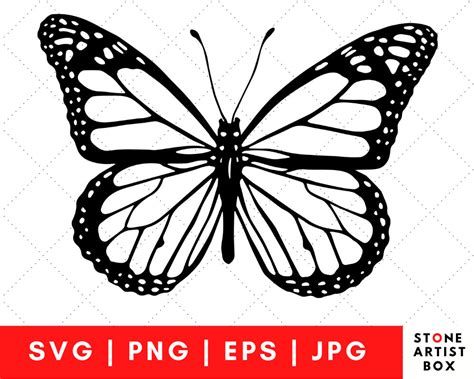 Monarch Butterfly Clipart SVG, Hand-drawn Illustration, Vinyl Cricut File, Butterfly Cut File - Etsy