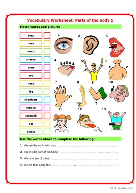 1 025 Body Parts English Esl Worksheets Pdf And Doc