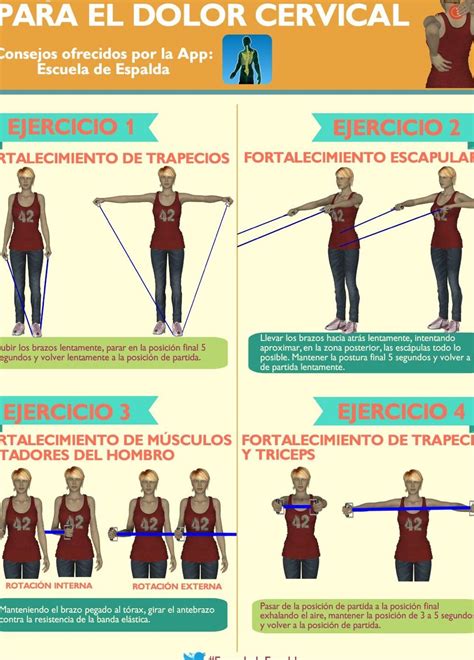 Ejercicios Para Fortalecer El Cuello Y Las Cervicales Squad Fitness