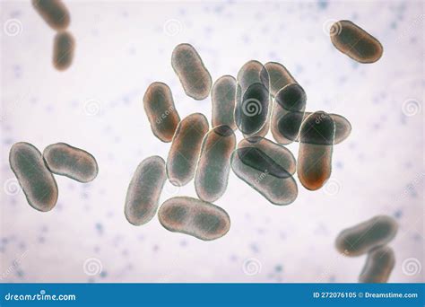 Prevotella Bacteria 3d Illustration Gram Negative Anaerobic Bacteria