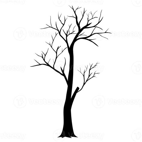 Black Dead Tree Silhouette 12981530 Png