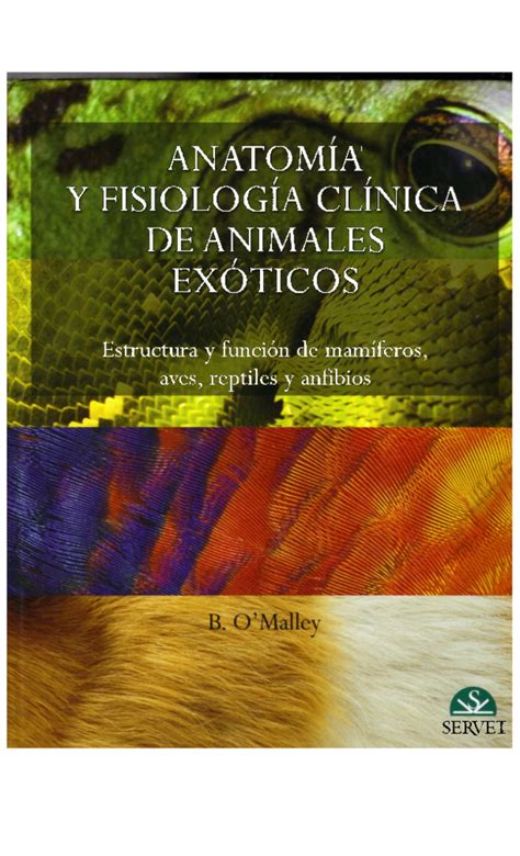 Pdf Anatomia Y FisiologÍa ClÍnica De Animales ExÓticos Diana Cruz