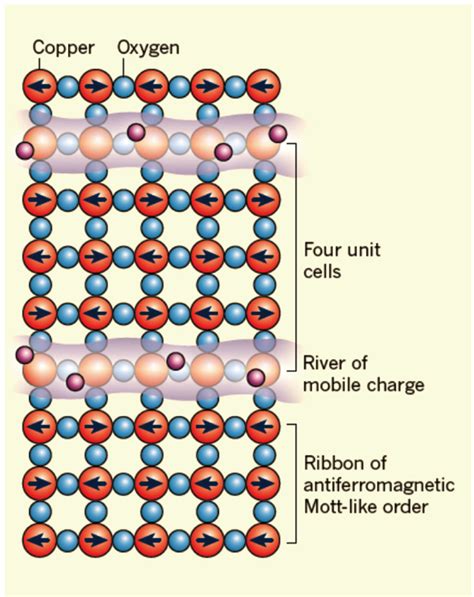 High Magnetic Field Induced Charge Order In High T C Cuprate