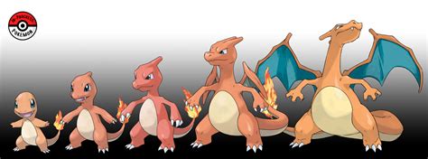 Charizard Fourth Evolution