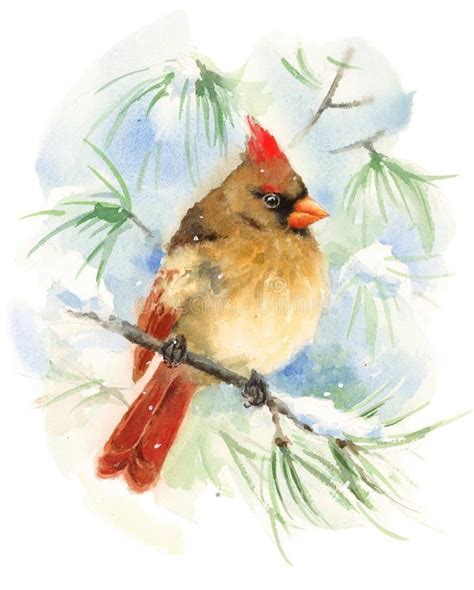 A Watercolor Painting Of A Cardinal Perched On A Branch With Snow And