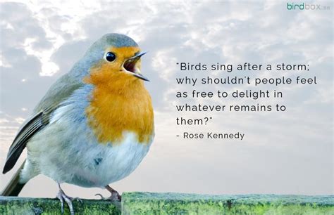 67 best images about Birdy Quotes on Pinterest | High resolution images ...