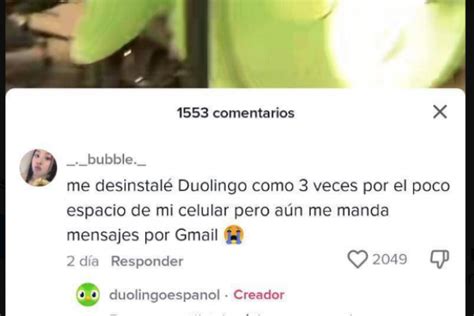 La Respuesta De Duolingo A Esta Usuaria Va Camino De Hacer Historia