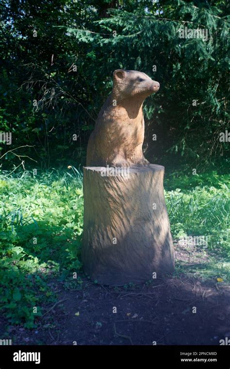 Wooden Animal Sculpture Made By Using A Chainsaw Stock Photo Alamy