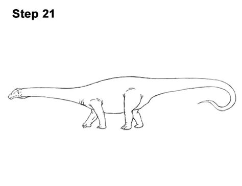 How To Draw A Diplodocus Video And Step By Step Pictures