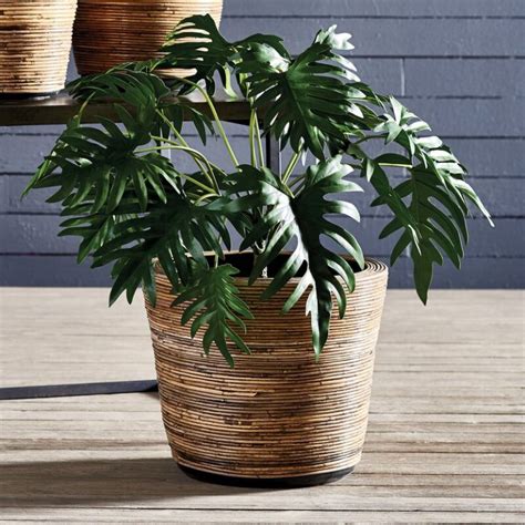 Best Rattan Pot Planters With Boho Style