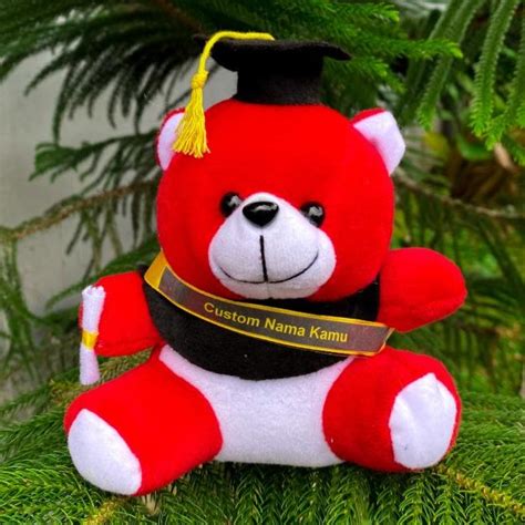 Jual Boneka Teddy Wisuda Boneka Teddy Bear Wisuda 15cm Bisa Tambah