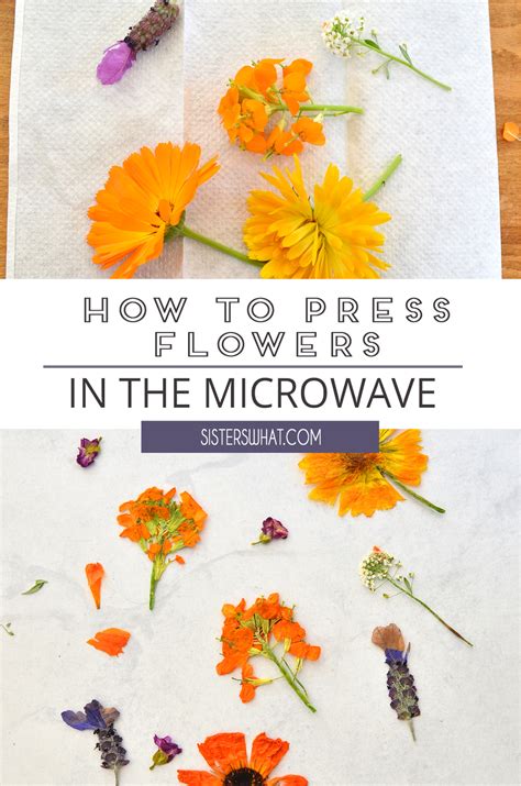 press flowers   microwave    flower mask sisters