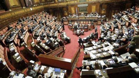 Via Libera Dal Senato Il Codice Rosso Diventa Legge Ecco Che Cosa