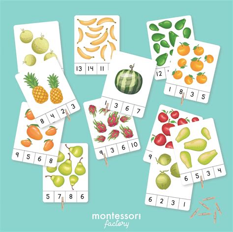 Counting Fruits Numbers 1 To 20 Montessori Counting Cards Etsy