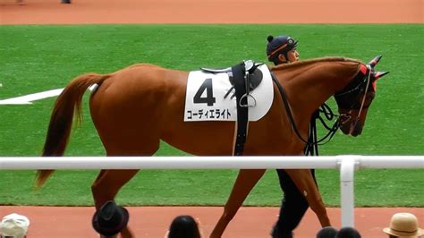 コーディエライト、新馬戦のパドック。現地映像、阪神競馬場 競馬動画まとめ