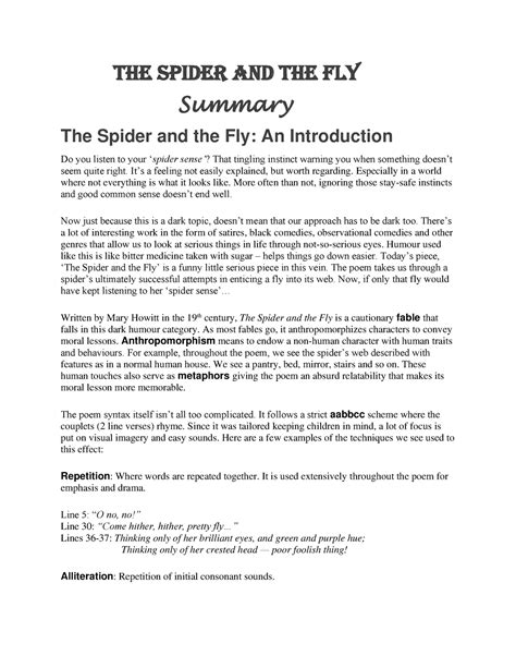 The Spider And The Fly The Spider And The Fly Summary The Spider And