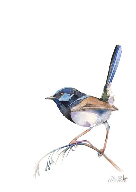 Fairy Wren Print Fairy Wren Watercolour Painting By LouiseDeMasi