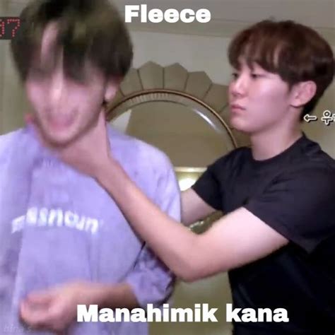 Filo Seventeen Memes Seventeen Memes Seventeen Kpop Seventeen