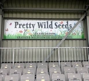 Pretty Wild Seeds become advertising sponsor of DFC - News - Darlington Football Club