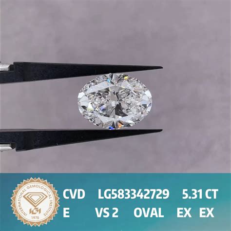 0 3ct To 10ct Fancy Shape HPHT CVD Lab Grown Diamond With IGI