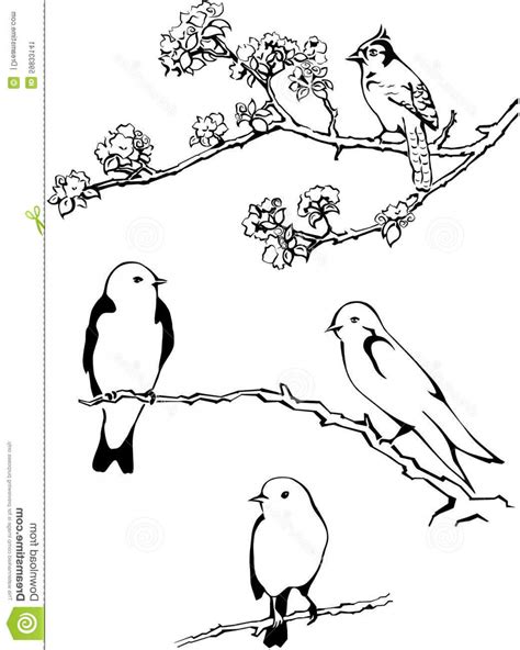 Drawing Of A Bird On A Branch at PaintingValley.com | Explore ...