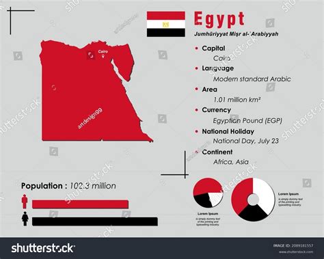 Egypt Infographic Vector Illustration Complemented Accurate Stock