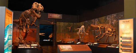 FOSSIL GALLERY - Tellus Museum in Cartersville, Georgia