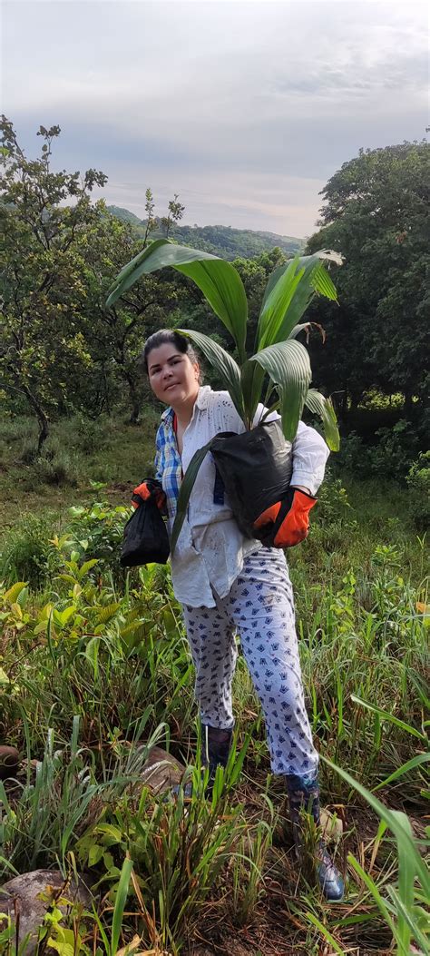 Proyectos Ecológicos Colombia Vive la Experiencia Eco en una rese