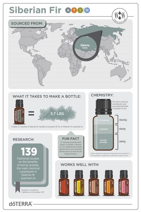 Discover Solutions: Siberian Fir Education Page | dōTERRA Essential Oils