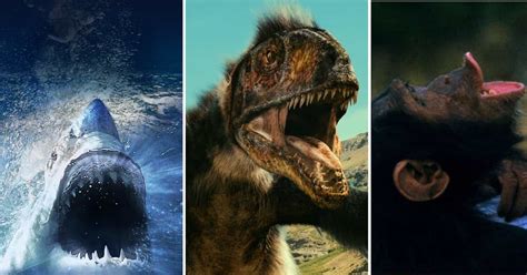 The Best Life Science Documentaries Ranked