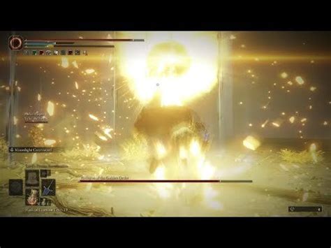 I finally did it boys! Radagon & Elden Beast slapped me so hard that I ... 