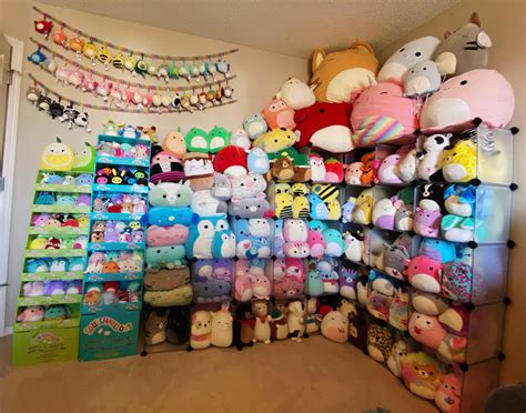 most of my collection! : r/squishmallow